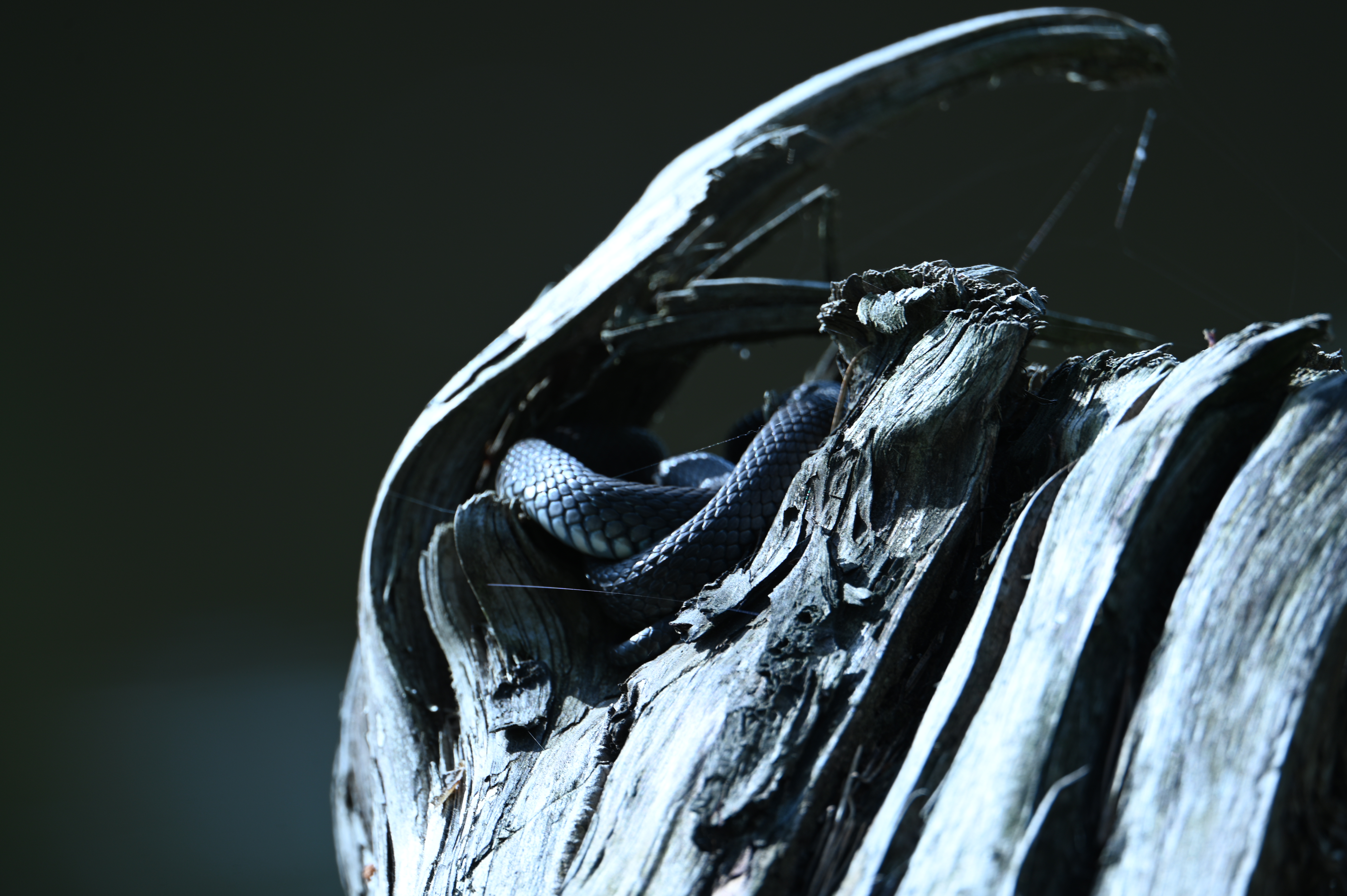 2025/07/09-14 - trip/DSC_0488.JPG